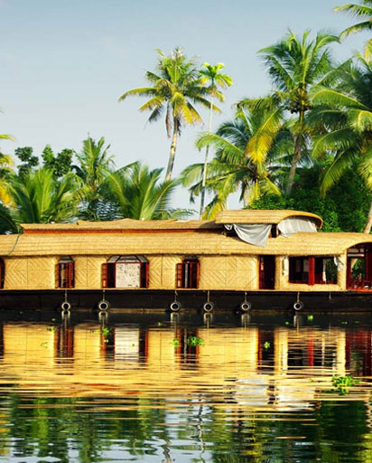 BDS & MDS Colleges in - Kerala