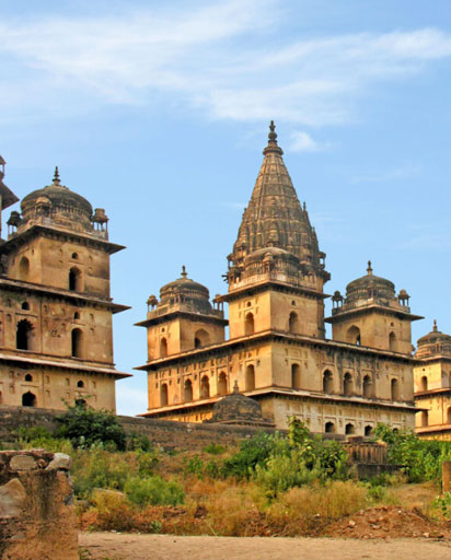 BDS & MDS Colleges in - Madhya Pradesh